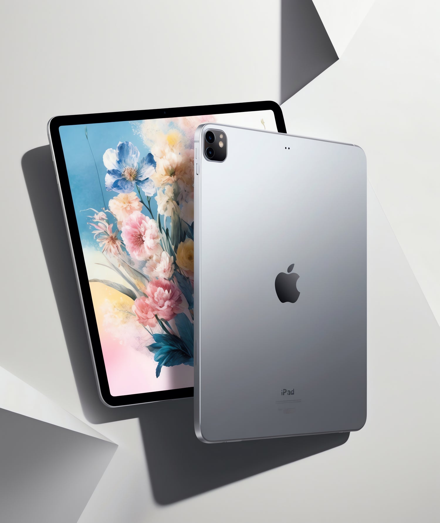 Apple iPad Case